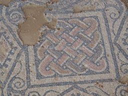 Yacimiento de Villaricos 2012